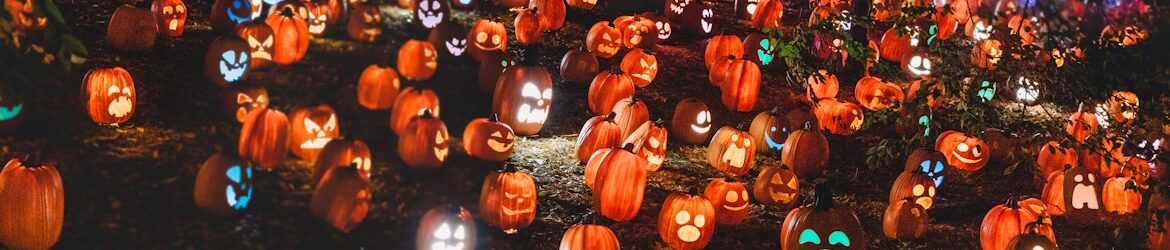 photo-1666324574196-9d027f7ad5e0